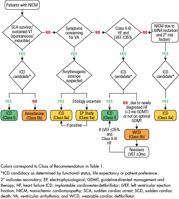 Secondary and Primary Prevention of SCD in Patients with NICM