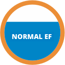 Normal EF icon